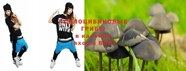 кокс Абдулино