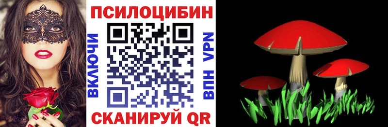 ссылка на мегу tor  купить наркотики цена  Черепаново  Галлюциногенные грибы MAGIC MUSHROOMS 